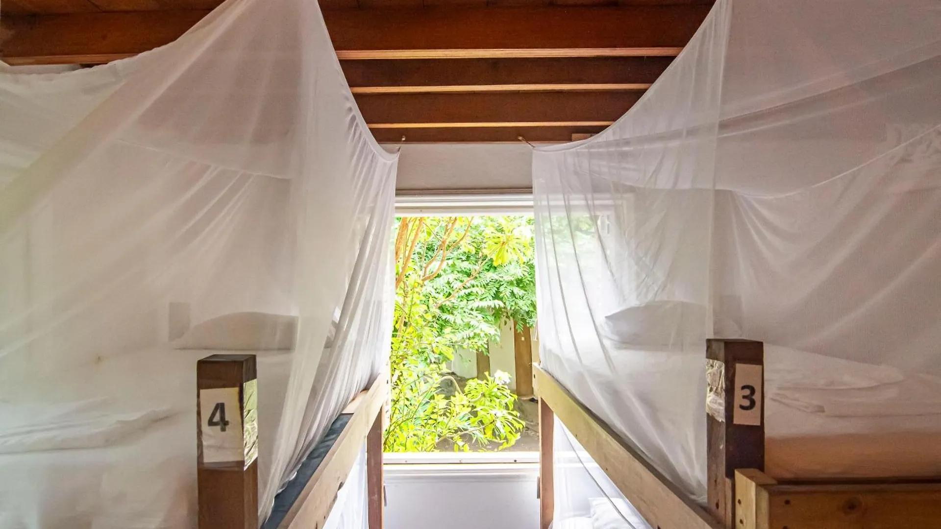 Auberge de jeunesse Hostal Secreto Isla Grande