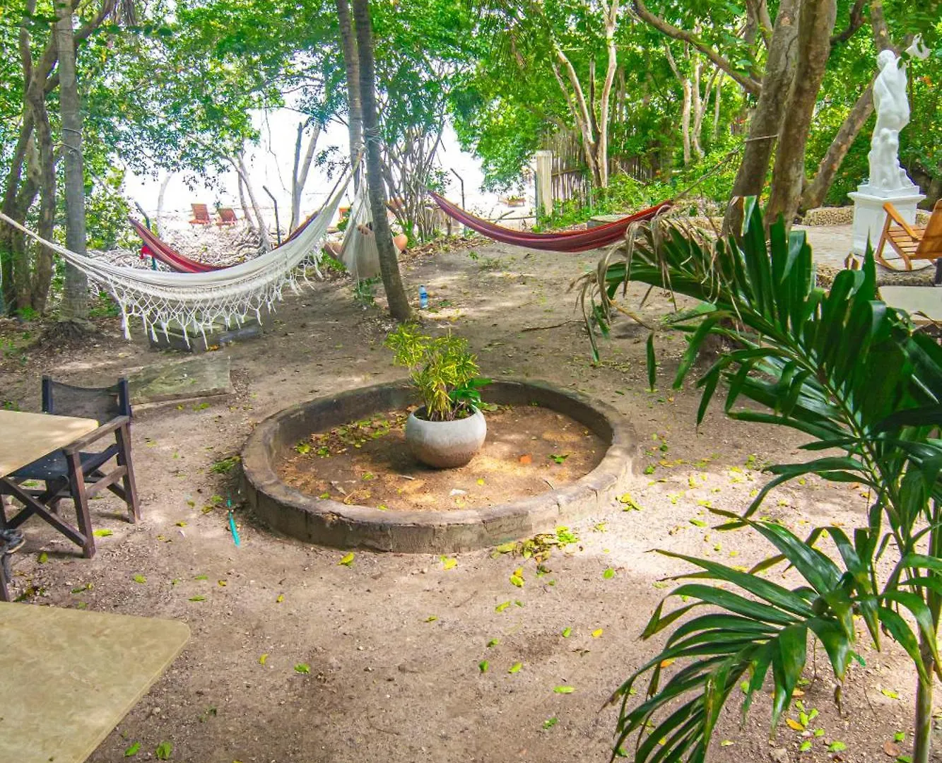 Hostal Secreto Isla Grande  Auberge de jeunesse Isla Grande (Cartagena)
