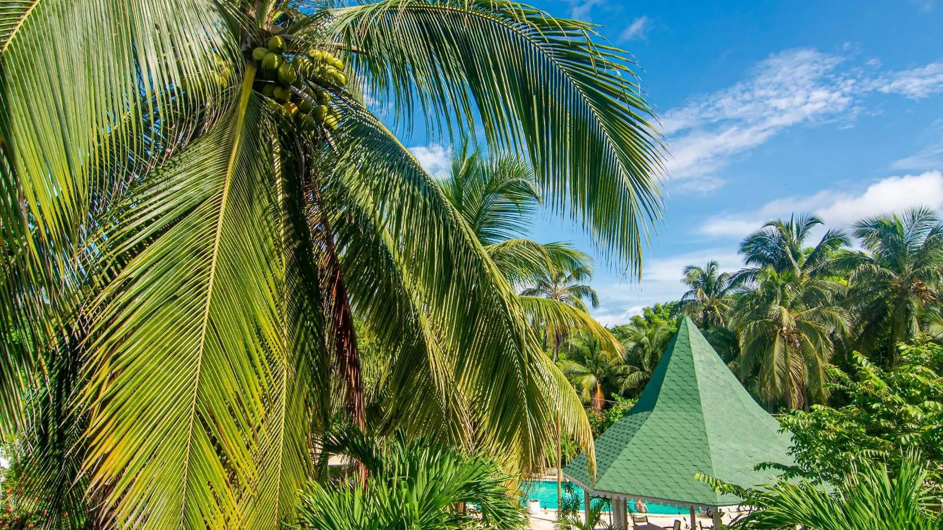 Hostal Secreto Isla Grande  0*, Isla Grande (Cartagena) Colombie